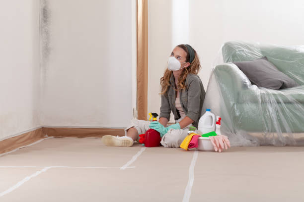 Reliable Mold Remediation contractor in Wayne, IL by WQB Mold Removal
